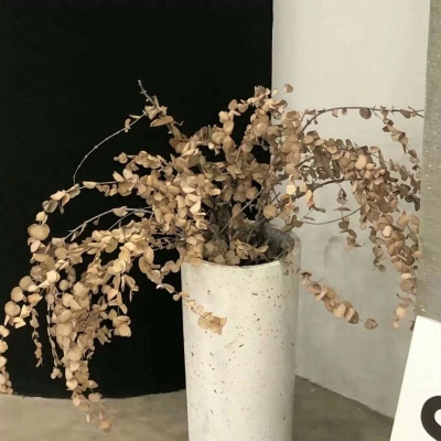 兽设星空场景创作福瑞交流群